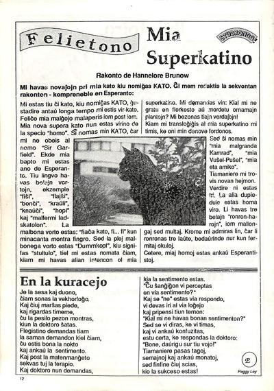 HES-informilo 1990