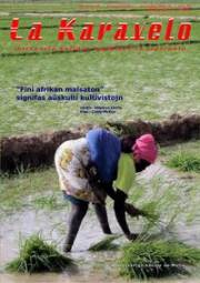 Numero 24, nov (2010)