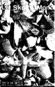 Numero 19 (1973)