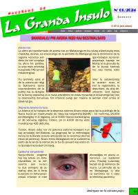 Numero 01, jan (2024)