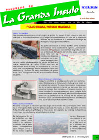 Numero 09, nov (2024)