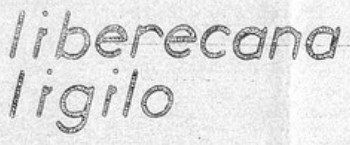 Liberecana Ligilo