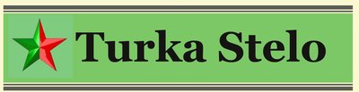 Turka Stelo